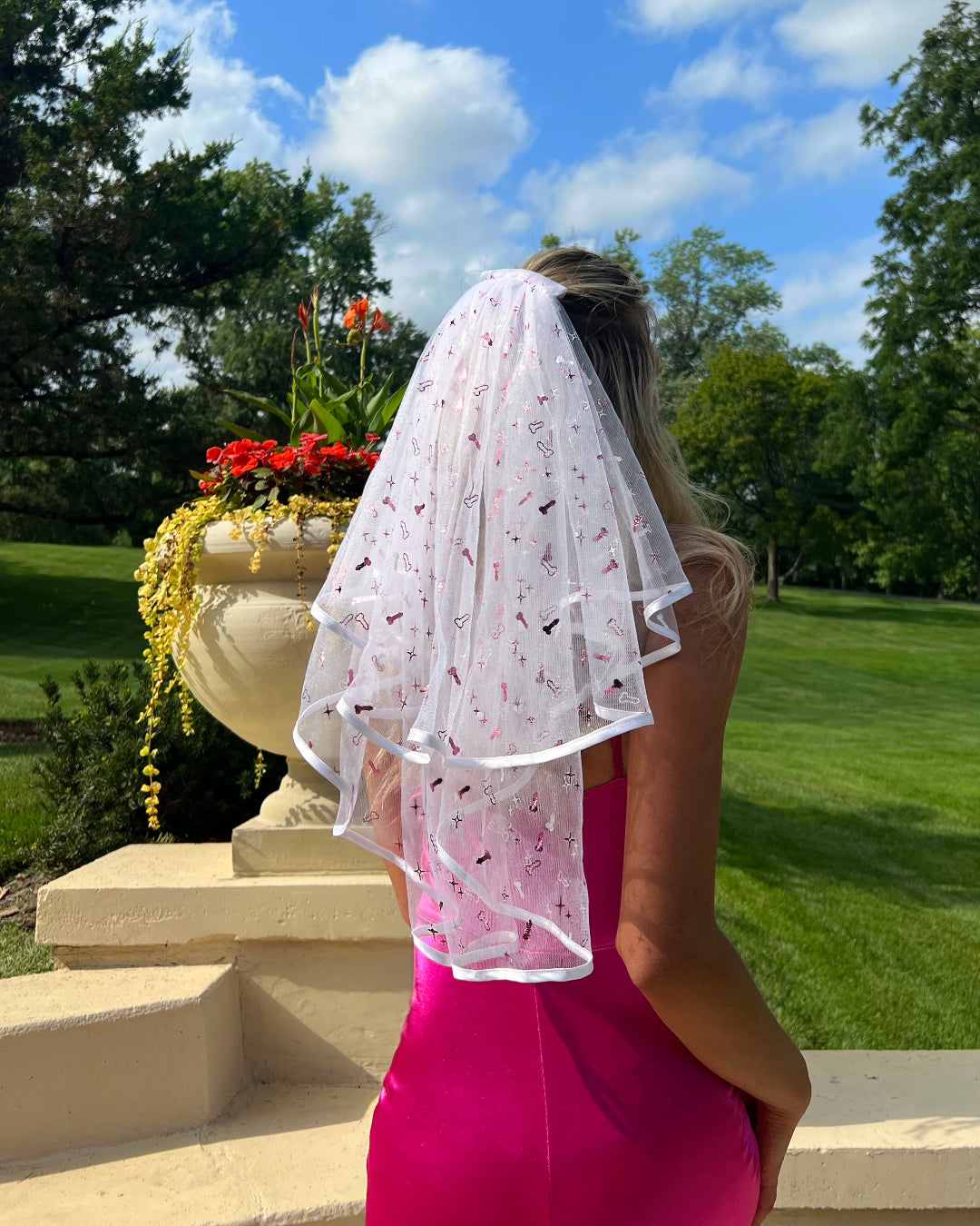Romantic veil for special occasions