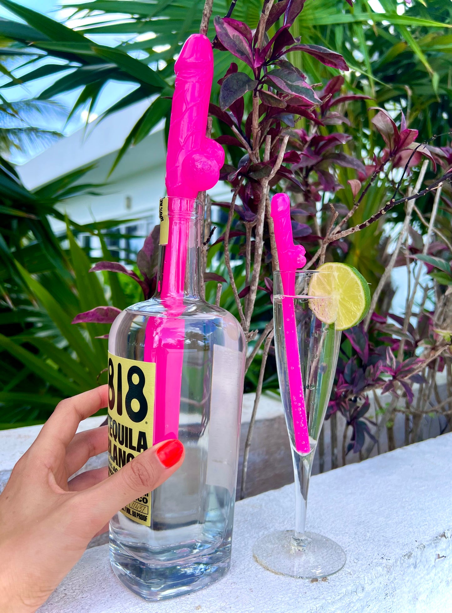 Naughty straws party favors