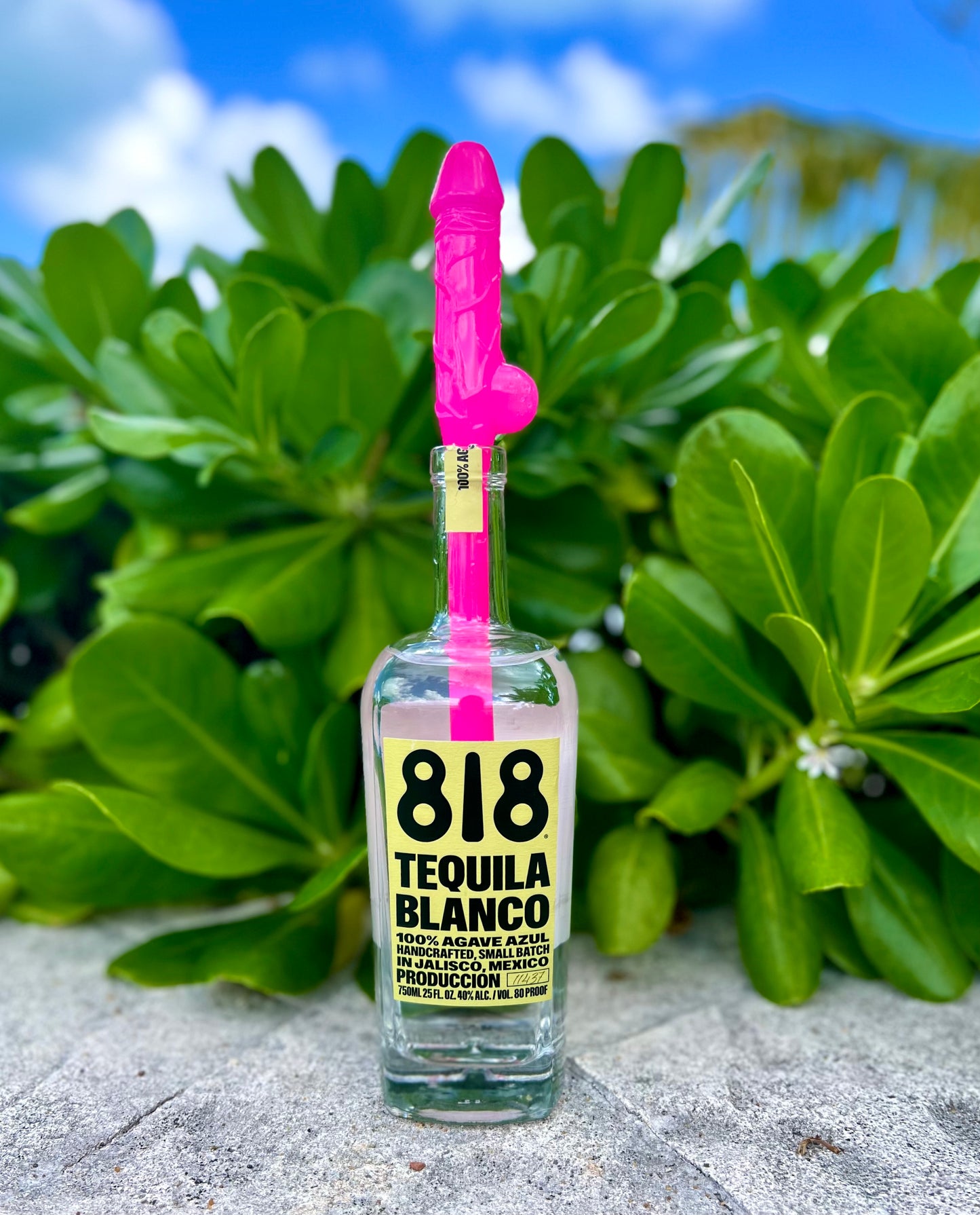 Novelty naughty straws