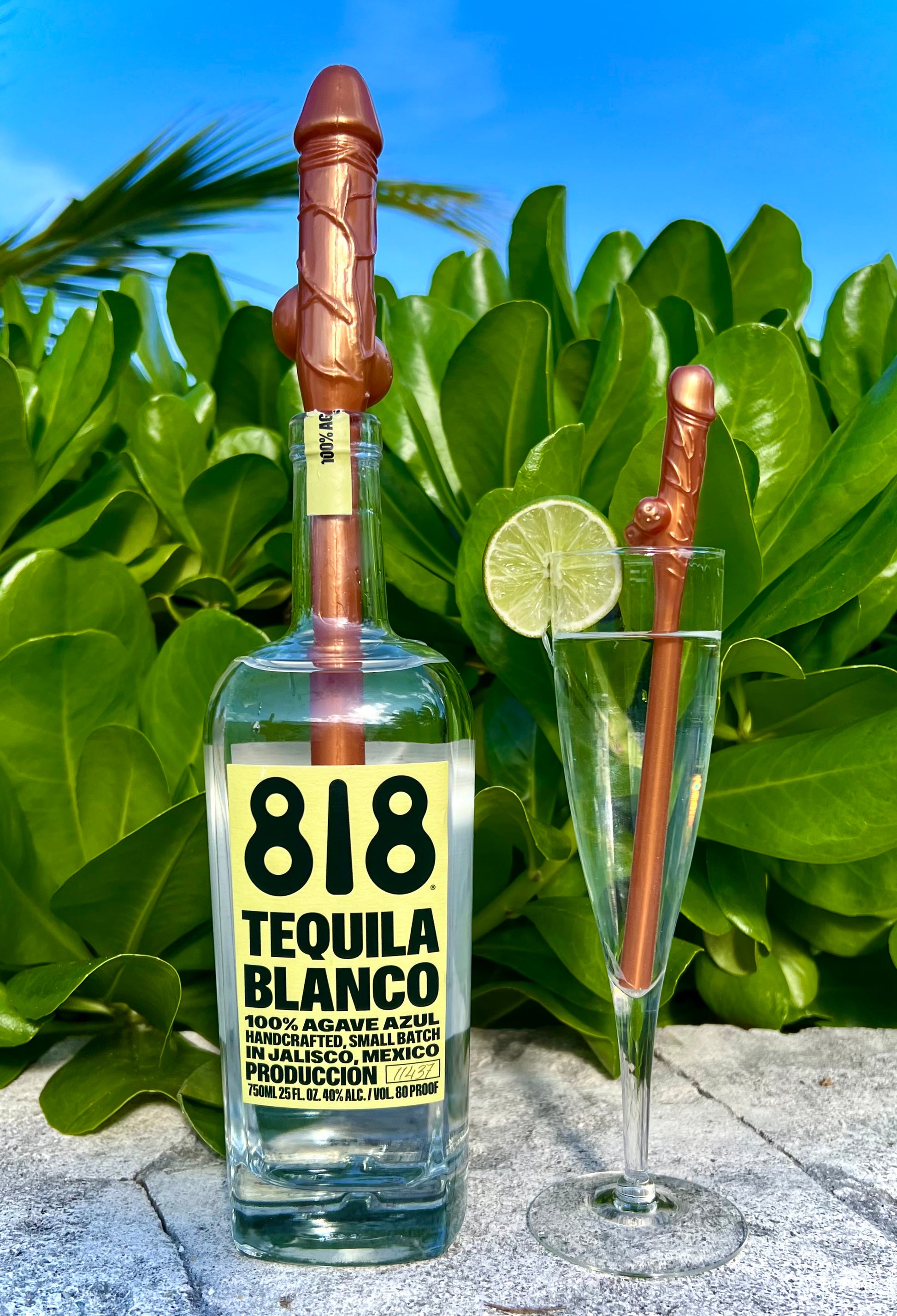 Funny willy straws