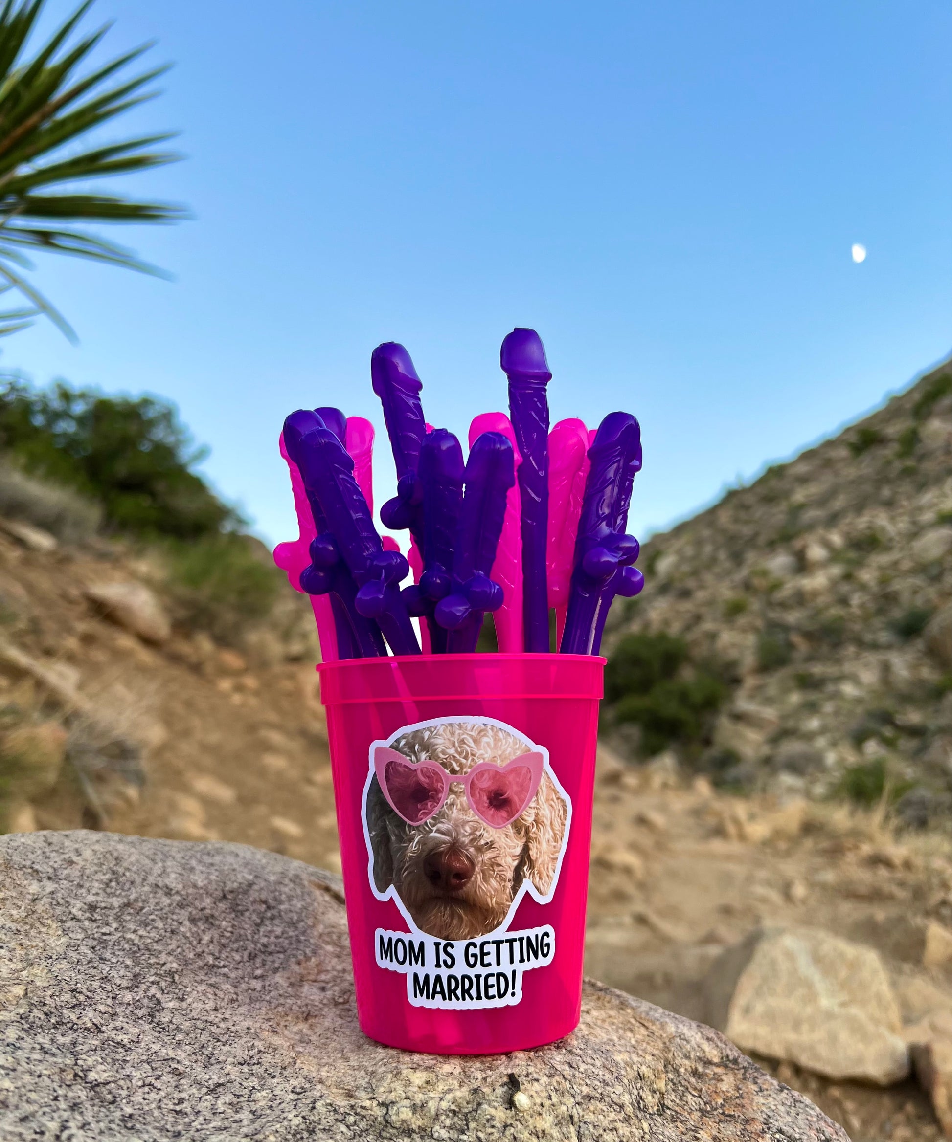 Personalized Forever Ever straws