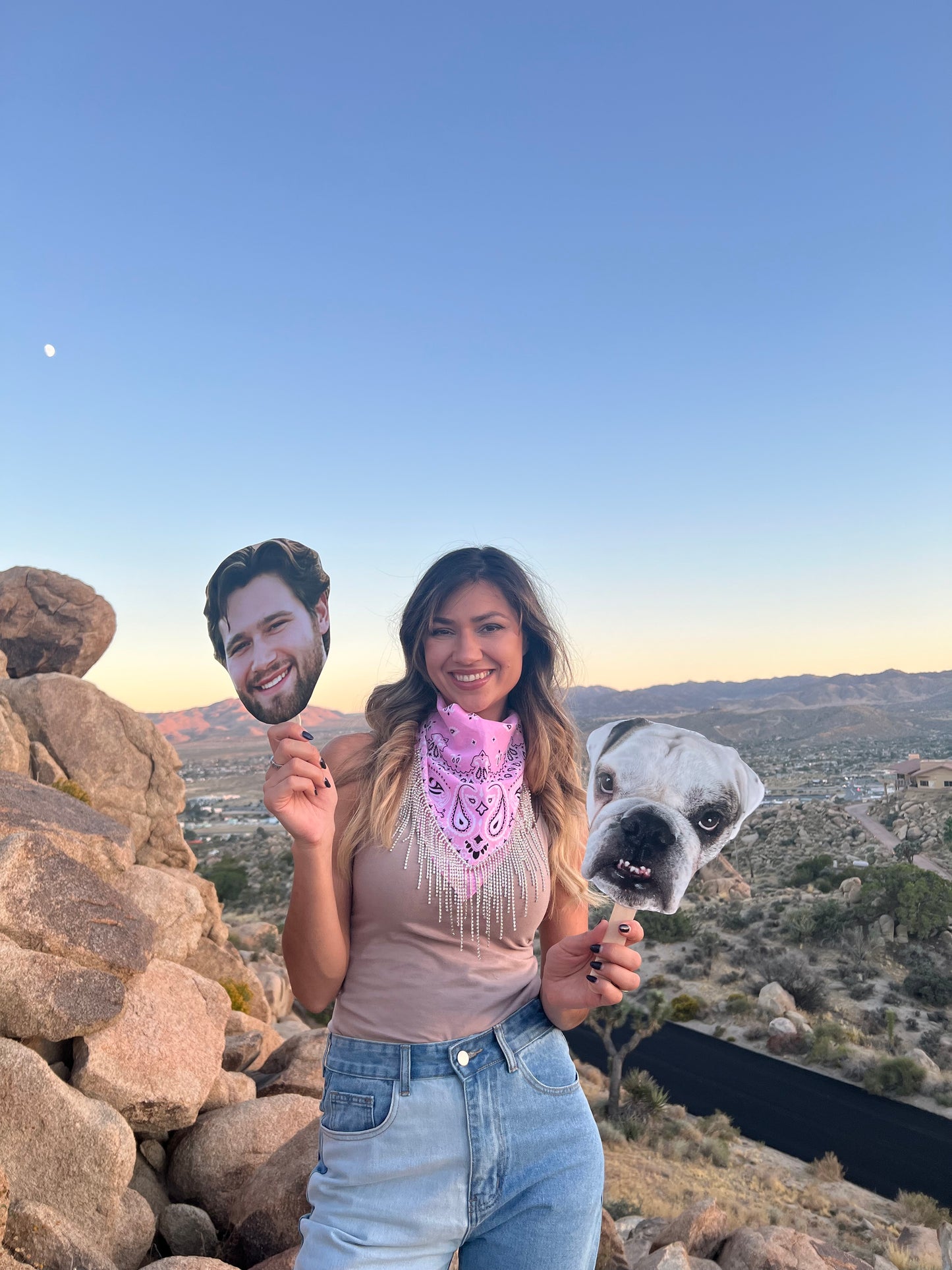 Pet face on a stick