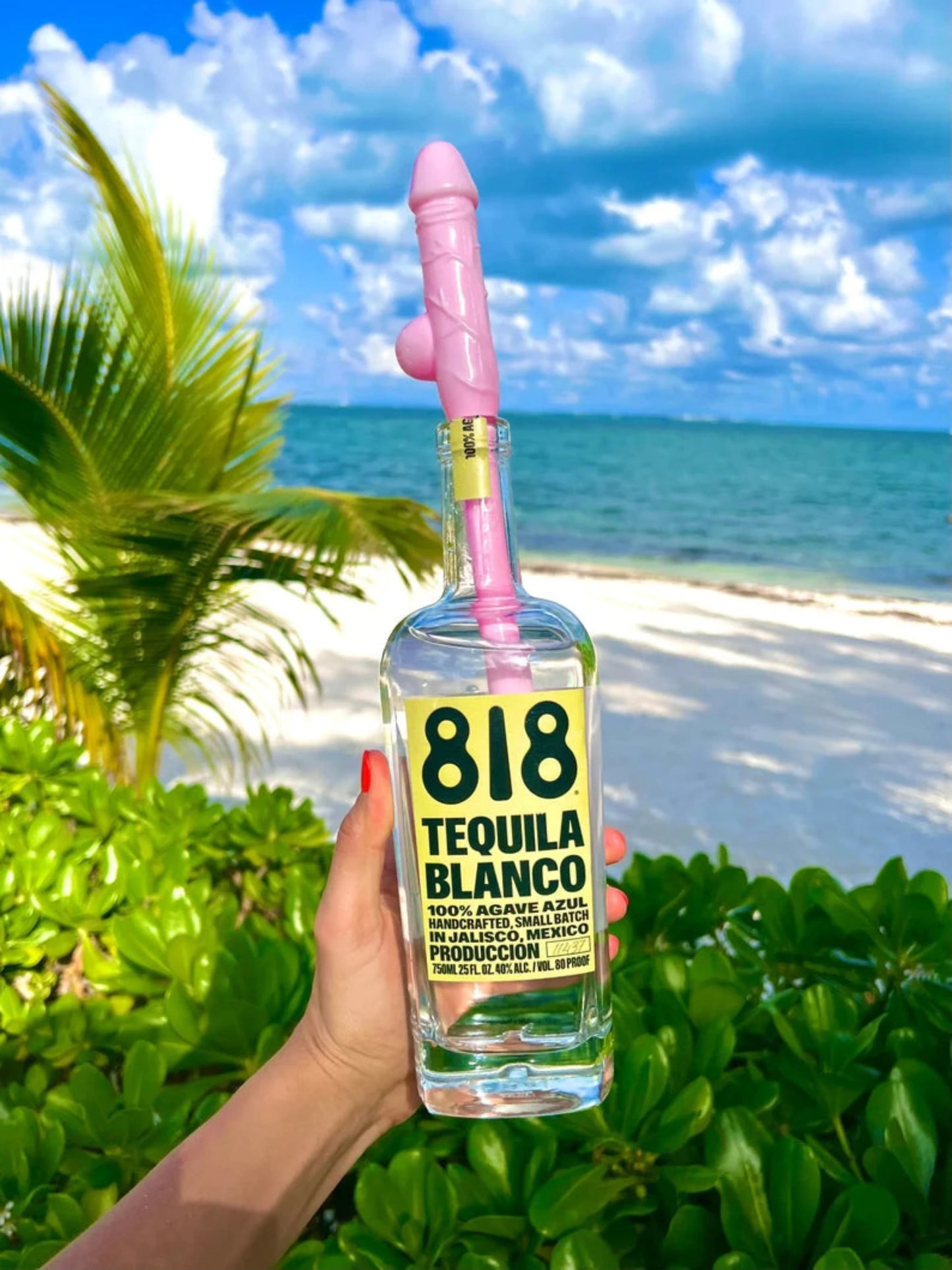 Bachelorette party willy straws